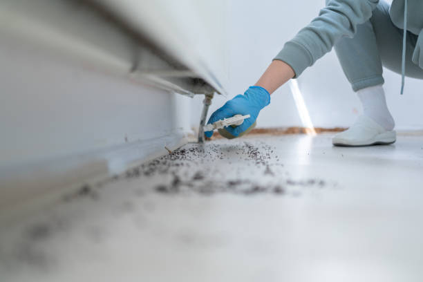Best Pest Control for Restaurants  in Elkland, PA